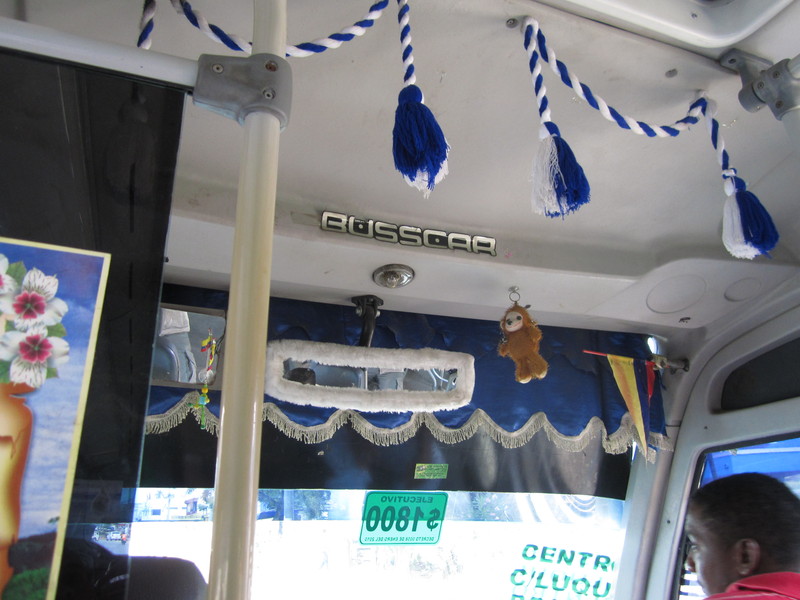 Decorated bus
