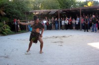 Maori warrior during the traditional challenge
